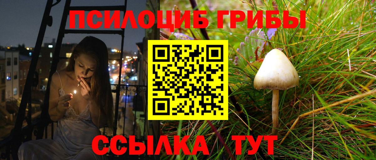 Галлюциногенные грибы мицелий Дмитров