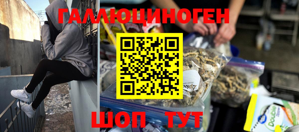 Дмитров  Псилоцибиновые грибы Psilocybine cubensis  Вход с VPN 